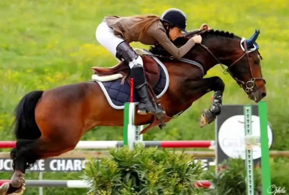 Etalon O'Fever d'Arbalou