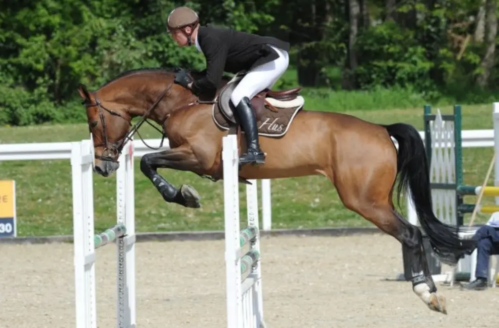 Etalon Seigneur du Grand Pré